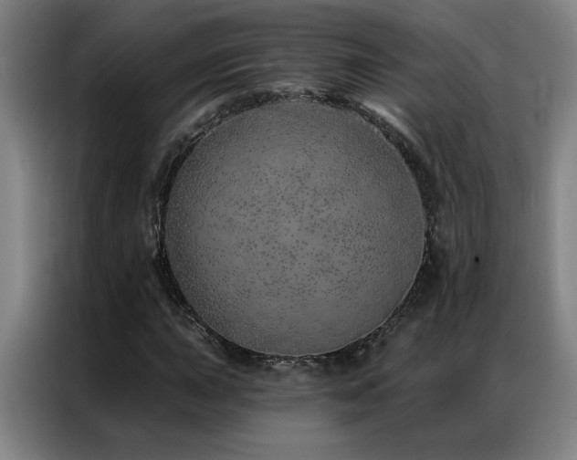 X0000087381015200704201241