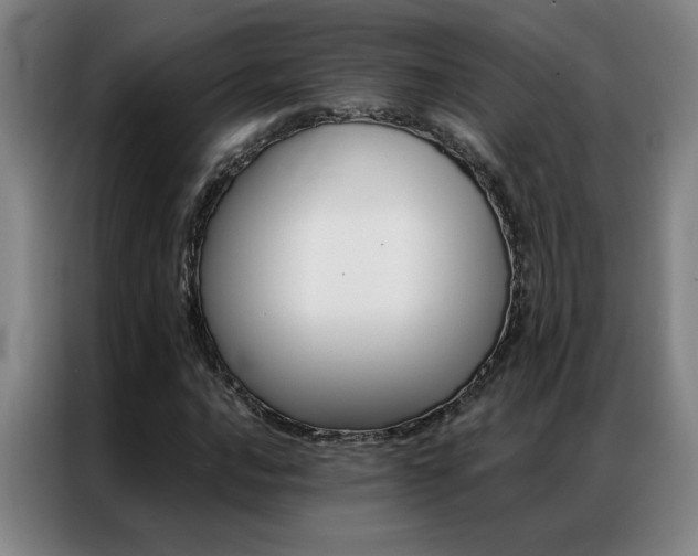 X0000087381016200704201241