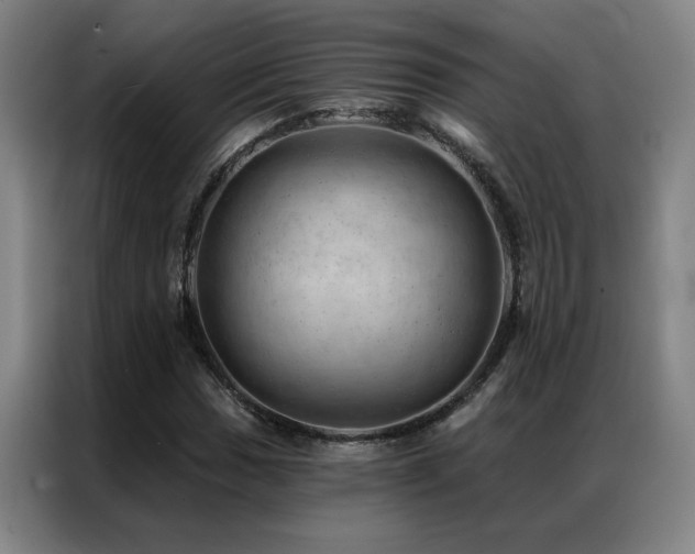 X0000087381017200704201241