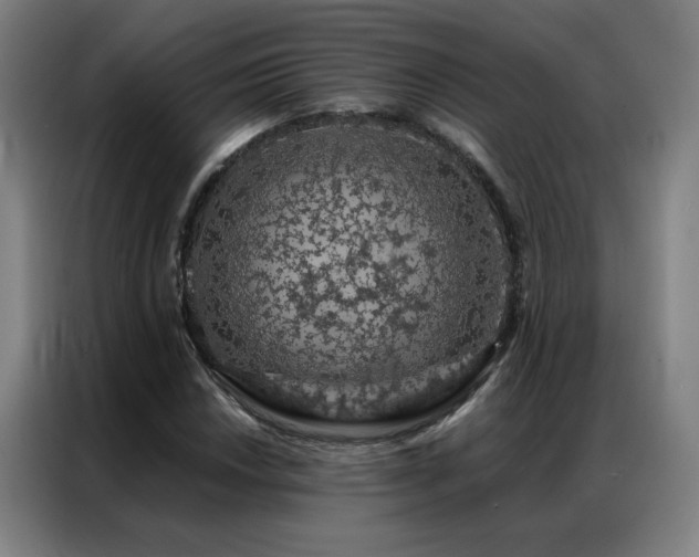 X0000087381018200704201242