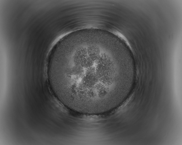 X0000087381019200704201242