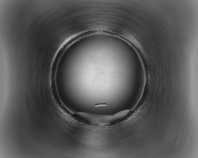 X0000087381020200704201242