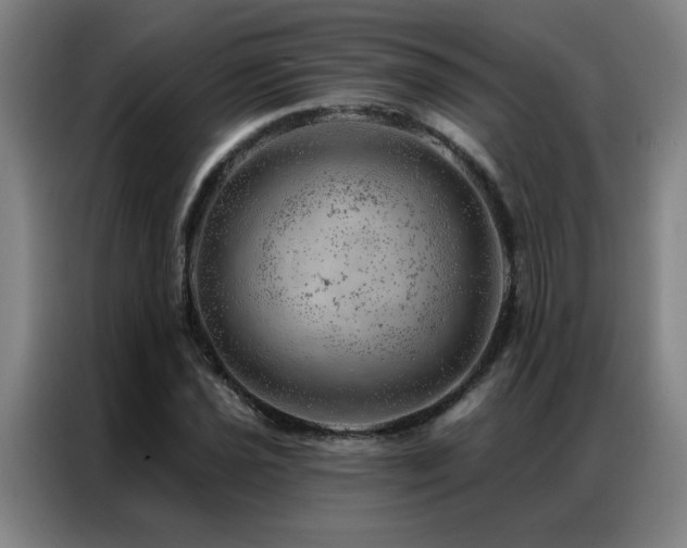 X0000087381021200704201242