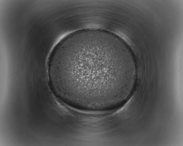 X0000087381022200704201242