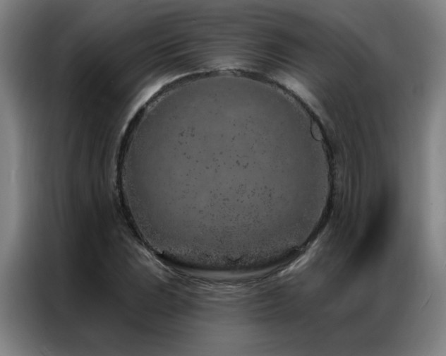 X0000087381023200704201242
