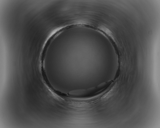 X0000087381024200704201242