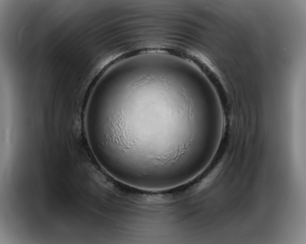 X0000087381025200704201242