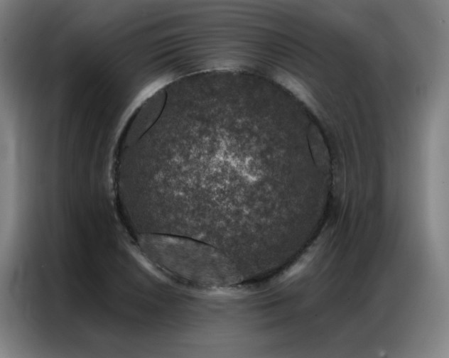 X0000087381026200704201242