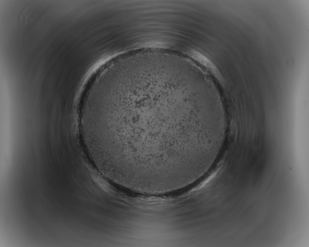 X0000087381027200704201242