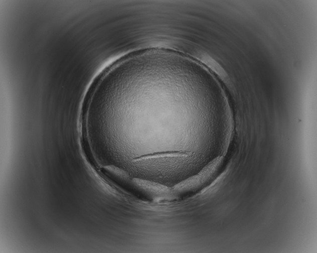 X0000087381028200704201242
