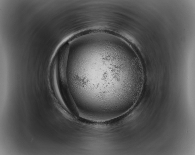 X0000087381029200704201242