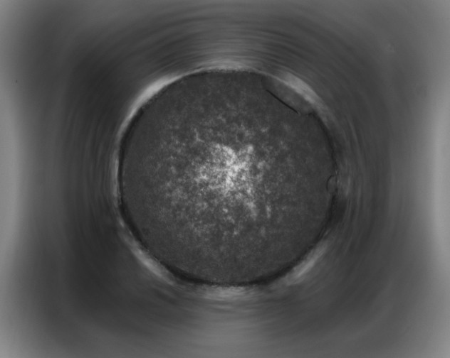 X0000087381030200704201242