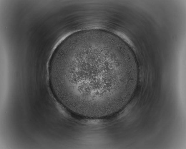 X0000087381031200704201242