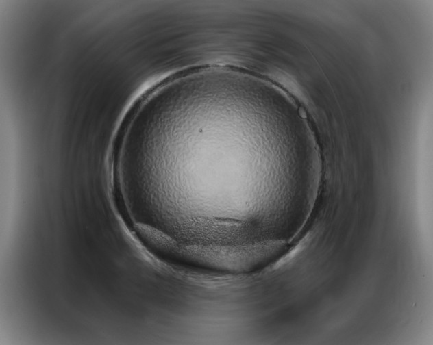 X0000087381032200704201242