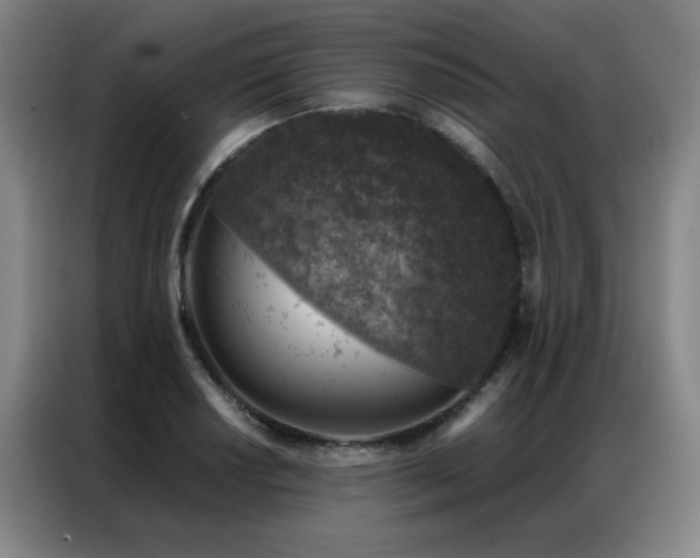 X0000087381034200704201242