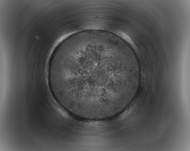 X0000087381035200704201242
