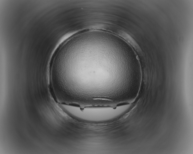X0000087381036200704201242
