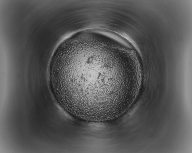X0000087381037200704201242