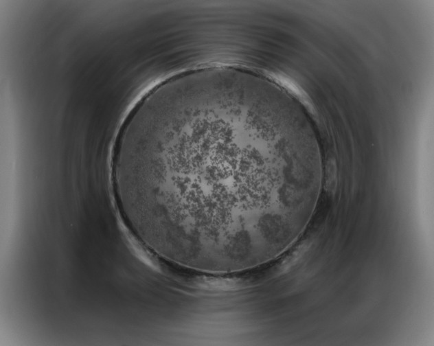 X0000087381039200704201242