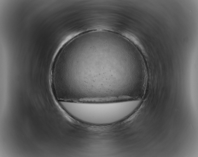 X0000087381040200704201242