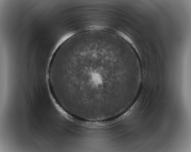 X0000087381042200704201242