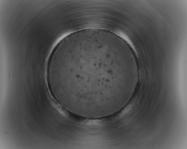X0000087381043200704201242