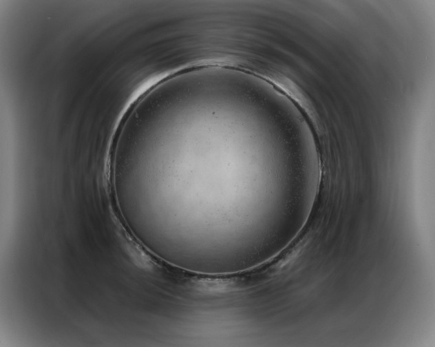 X0000087381044200704201242