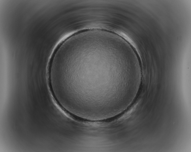 X0000087381045200704201242