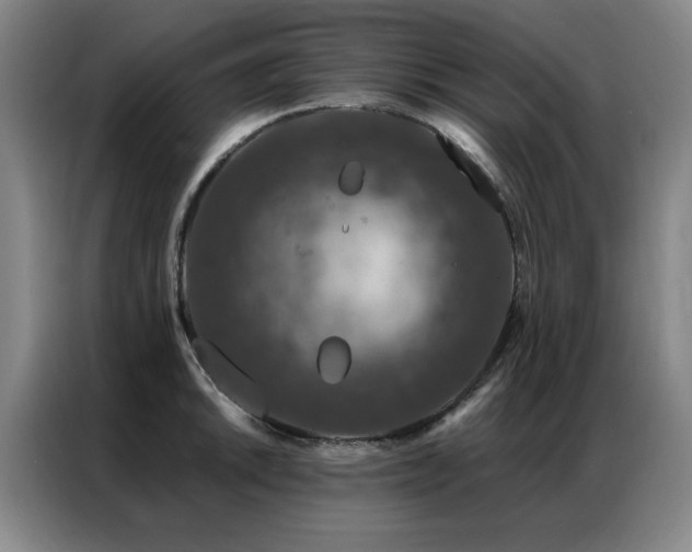 X0000087381046200704201242