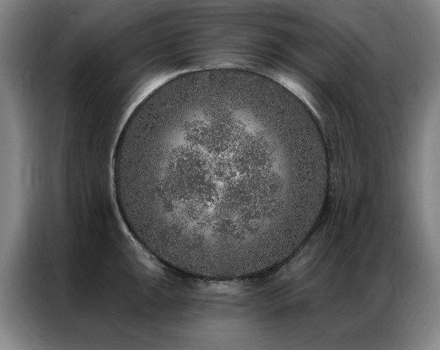 X0000087381047200704201242