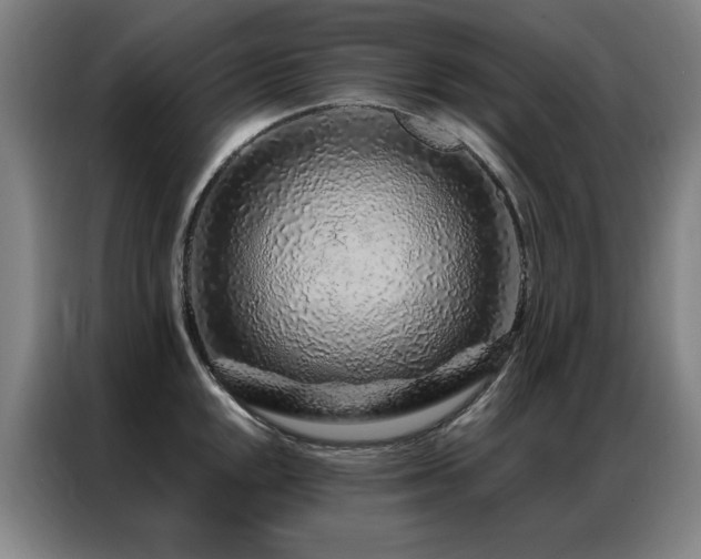 X0000087381048200704201242