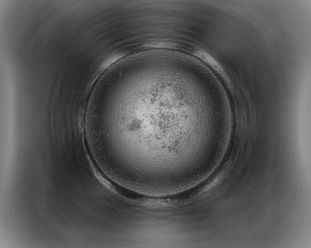 X0000087381049200704201242