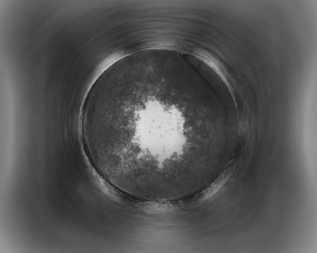 X0000087381050200704201242