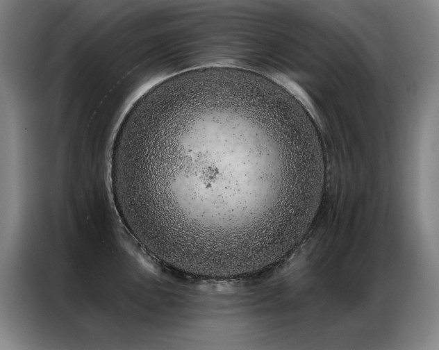 X0000087381051200704201242