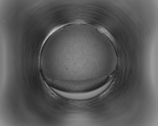 X0000087381052200704201242