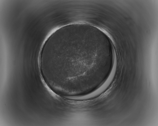 X0000087381054200704201242
