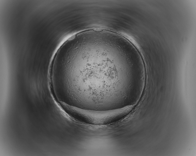 X0000087381056200704201242