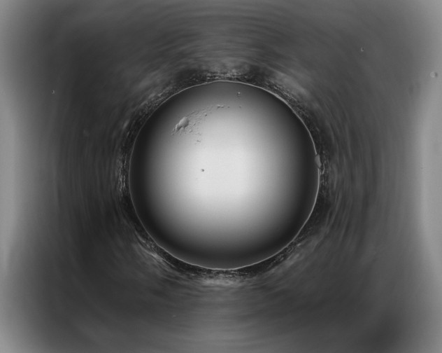 X0000087381058200704201241