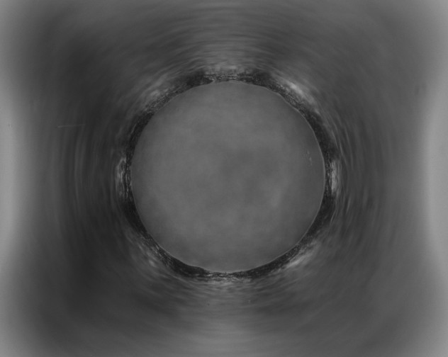 X0000087381059200704201241