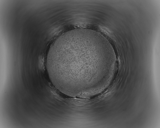 X0000087381060200704201241