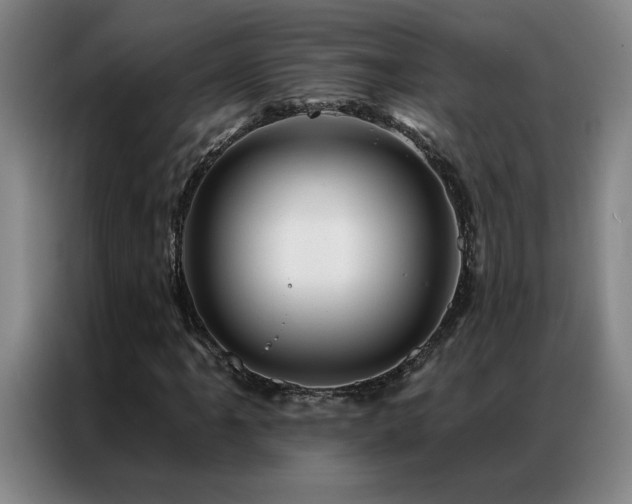 X0000087381061200704201241
