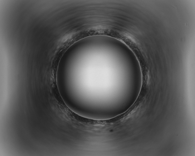X0000087381062200704201241