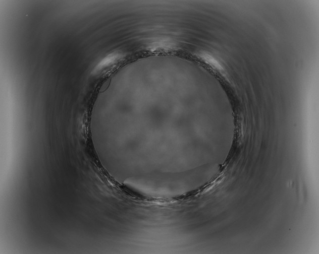 X0000087381063200704201241
