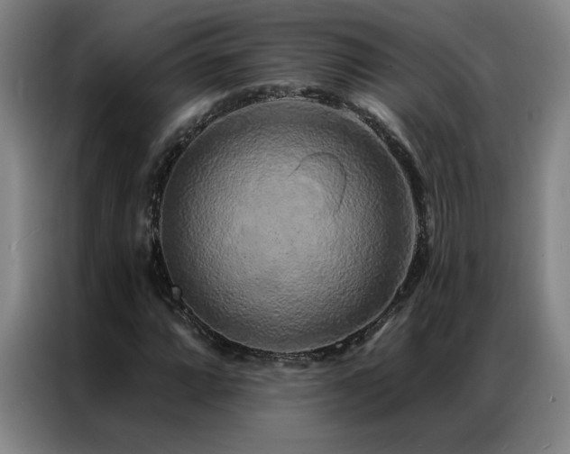 X0000087381064200704201241