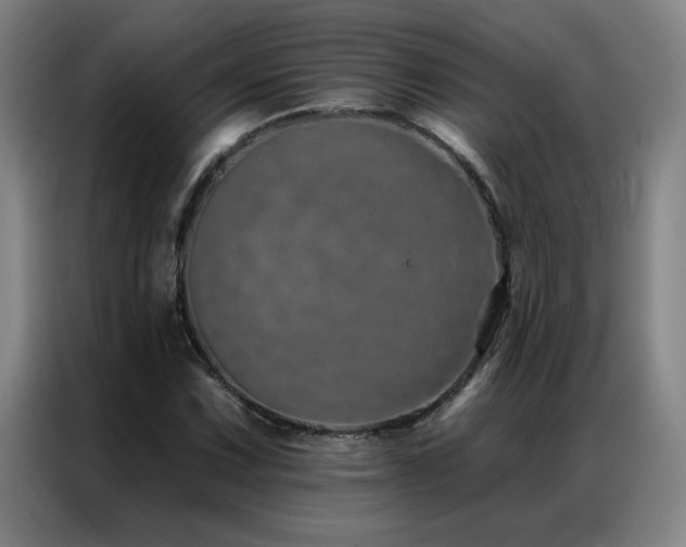 X0000087381067200704201241