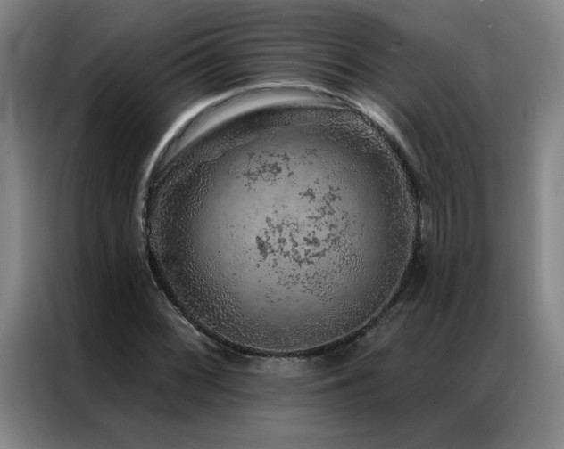 X0000087381068200704201241