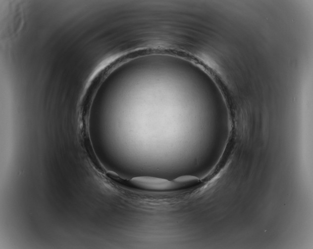 X0000087381070200704201241