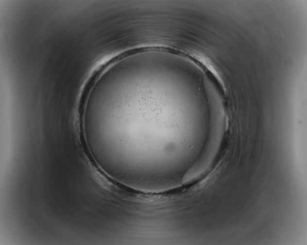 X0000087381072200704201241