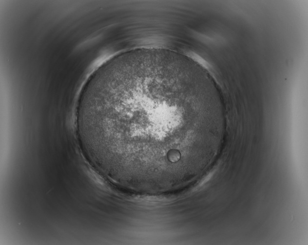 X0000087381074200704201241