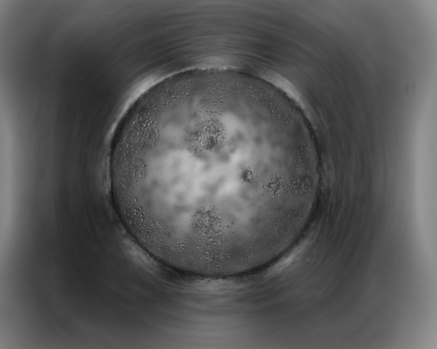 X0000087381075200704201241
